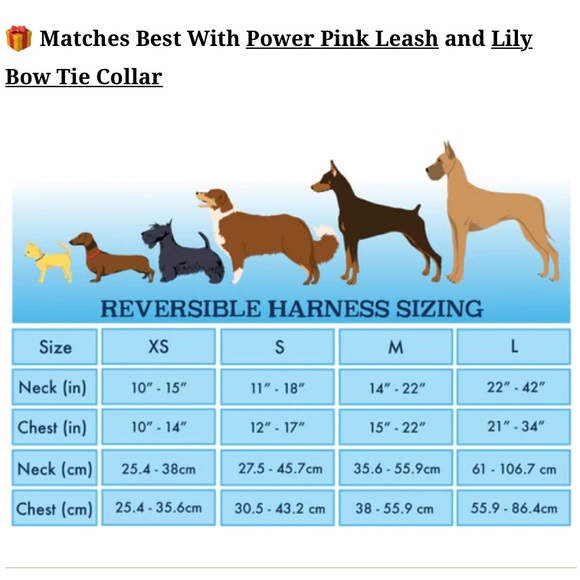 Pack Leash Reversible Harness - Picture 5 of 5